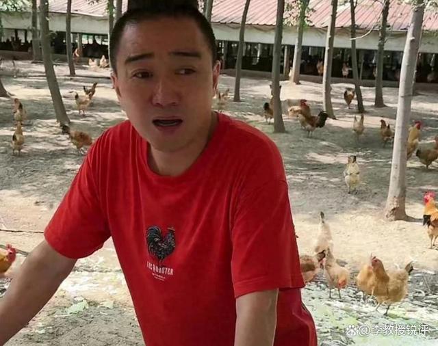 前央视主持人被曝转行养鸡