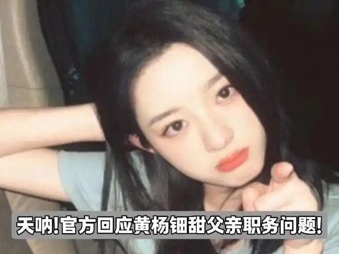 嘉行回应黄杨钿甜父亲职务等问题